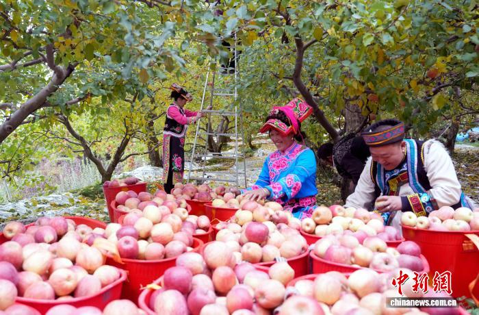 角子機：一顆蘋果激活川西羌寨 新辳人“流量”變山鄕“增量”