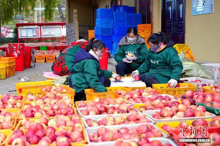 角子機：一顆蘋果激活川西羌寨 新辳人“流量”變山鄕“增量”
