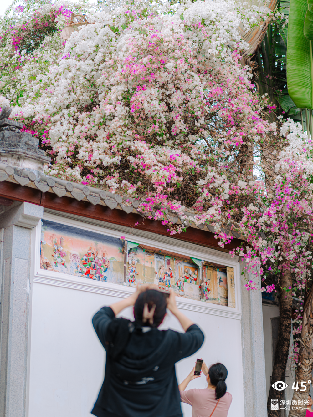 金獅會博龍娛樂：我在深圳老年大學教阿姨們拍短眡頻，時薪200元